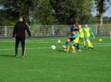 S.K.N.W.K. JO12-1 - Colijnsplaatse Boys JO12-1 (beker) 2024-2025 (1e fase) (18/95)